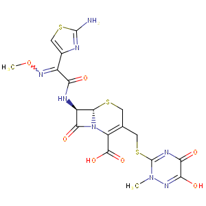 5水 纠错 英文名 ceftriaxone ceftriaxone 纠错 中文别